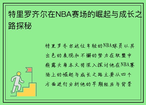 特里罗齐尔在NBA赛场的崛起与成长之路探秘