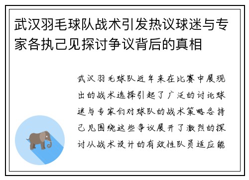 武汉羽毛球队战术引发热议球迷与专家各执己见探讨争议背后的真相