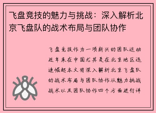 飞盘竞技的魅力与挑战：深入解析北京飞盘队的战术布局与团队协作