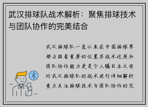 武汉排球队战术解析：聚焦排球技术与团队协作的完美结合